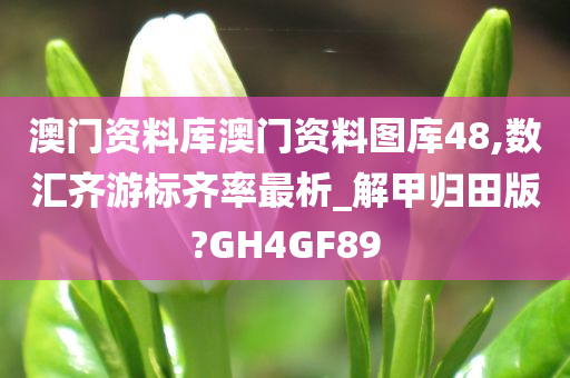 澳门资料库澳门资料图库48,数汇齐游标齐率最析_解甲归田版?GH4GF89