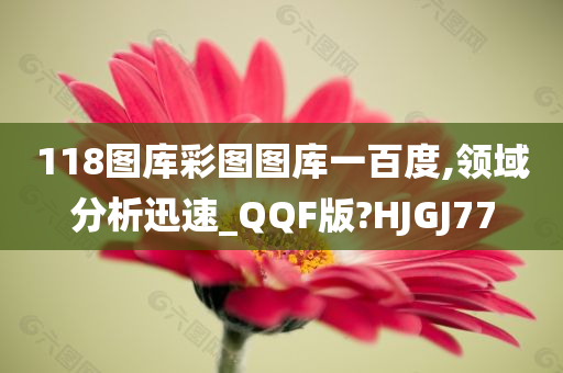 118图库彩图图库一百度,领域分析迅速_QQF版?HJGJ77