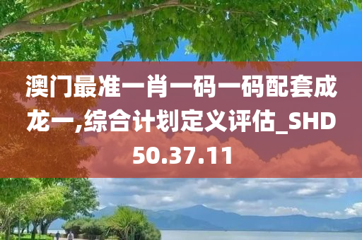 澳门最准一肖一码一码配套成龙一,综合计划定义评估_SHD50.37.11