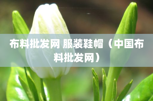 布料批发网 服装鞋帽（中国布料批发网）