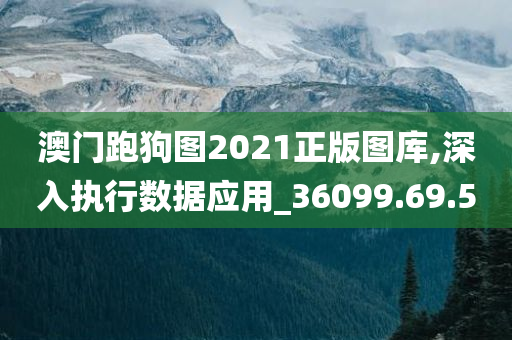 澳门跑狗图2021正版图库,深入执行数据应用_36099.69.50