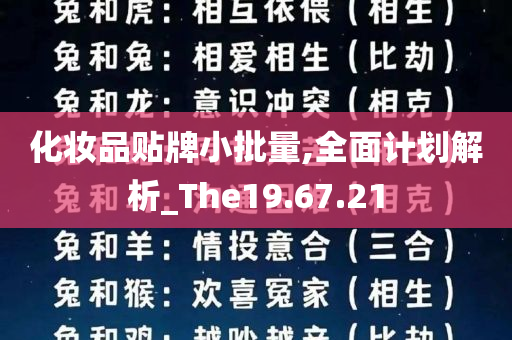 化妆品贴牌小批量,全面计划解析_The19.67.21