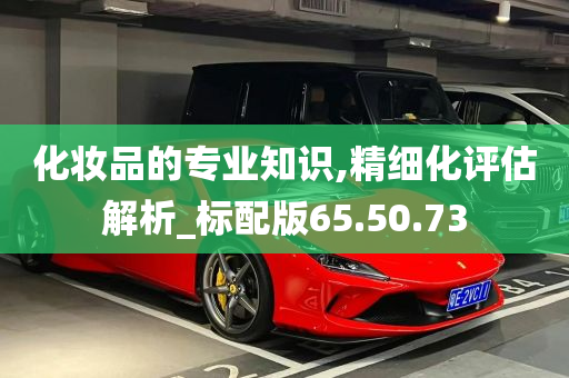 化妆品的专业知识,精细化评估解析_标配版65.50.73