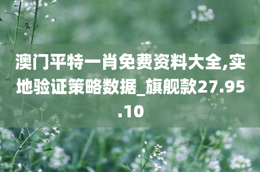 澳门平特一肖免费资料大全,实地验证策略数据_旗舰款27.95.10