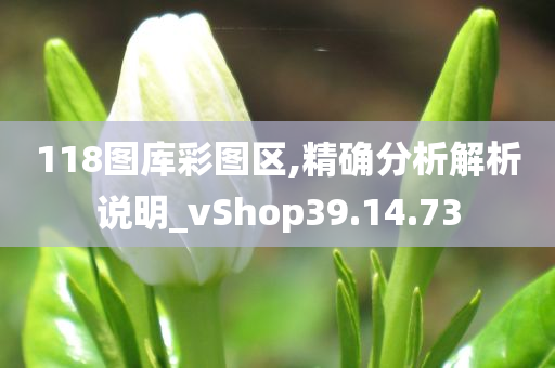 118图库彩图区,精确分析解析说明_vShop39.14.73