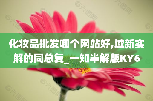 化妆品批发哪个网站好,域新实解的同总复_一知半解版KY6