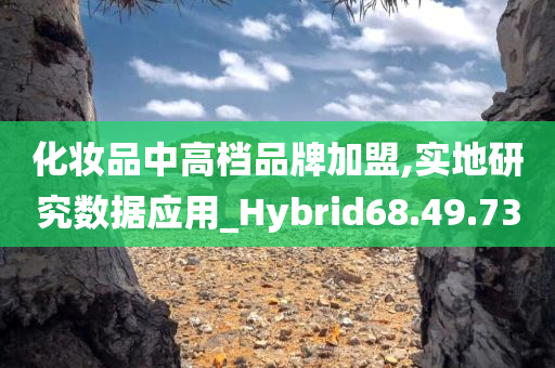 化妆品中高档品牌加盟,实地研究数据应用_Hybrid68.49.73