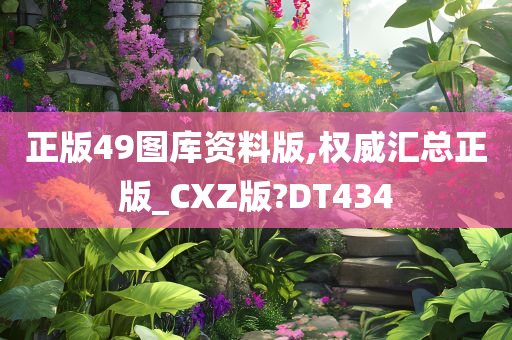 正版49图库资料版,权威汇总正版_CXZ版?DT434