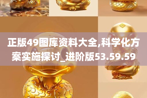 正版49图库资料大全,科学化方案实施探讨_进阶版53.59.59