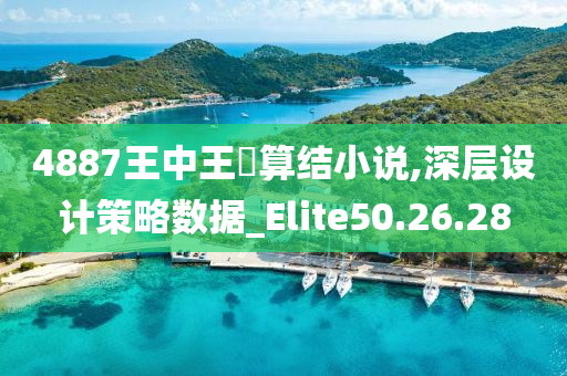 4887王中王鉄算结小说,深层设计策略数据_Elite50.26.28