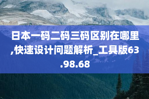 日本一码二码三码区别在哪里,快速设计问题解析_工具版63.98.68