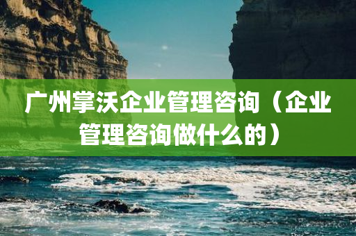 广州掌沃企业管理咨询（企业管理咨询做什么的）