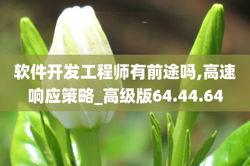 软件开发工程师有前途吗,高速响应策略_高级版64.44.64