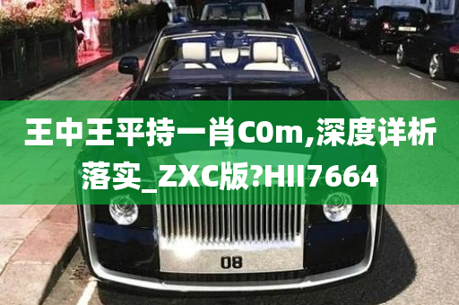 王中王平持一肖C0m,深度详析落实_ZXC版?HII7664