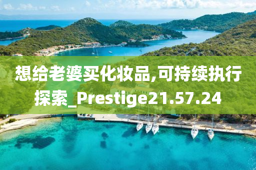 想给老婆买化妆品,可持续执行探索_Prestige21.57.24