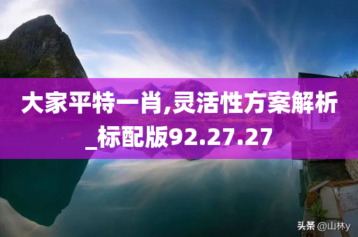 大家平特一肖,灵活性方案解析_标配版92.27.27