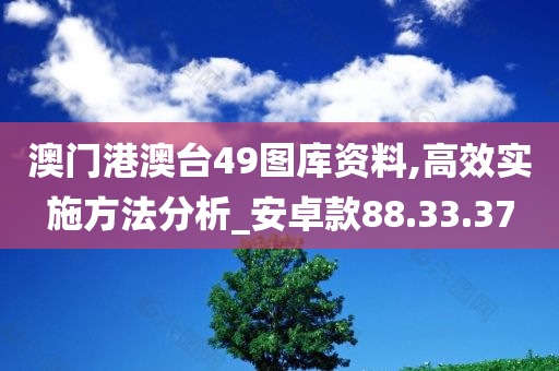 澳门港澳台49图库资料,高效实施方法分析_安卓款88.33.37