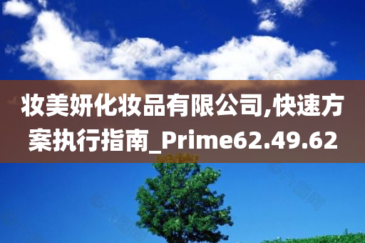 妆美妍化妆品有限公司,快速方案执行指南_Prime62.49.62