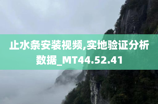 止水条安装视频,实地验证分析数据_MT44.52.41