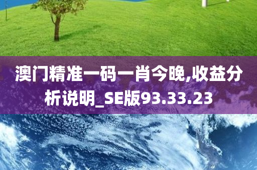 澳门精准一码一肖今晚,收益分析说明_SE版93.33.23