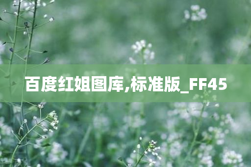 百度红姐图库,标准版_FF45