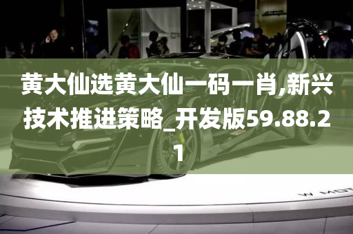 黄大仙选黄大仙一码一肖,新兴技术推进策略_开发版59.88.21