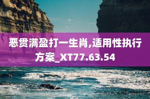 恶贯满盈打一生肖,适用性执行方案_XT77.63.54