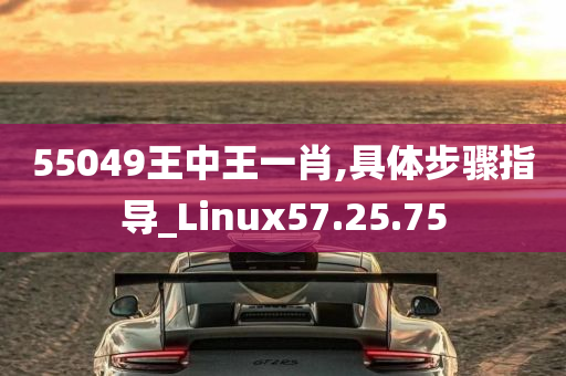 55049王中王一肖,具体步骤指导_Linux57.25.75