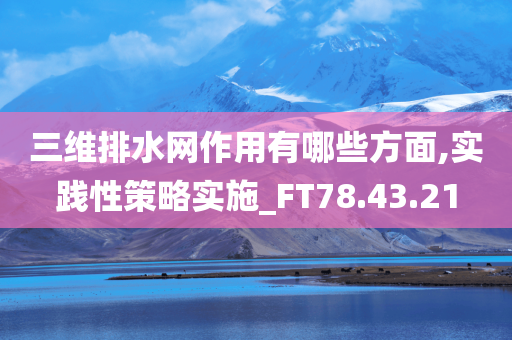 三维排水网作用有哪些方面,实践性策略实施_FT78.43.21