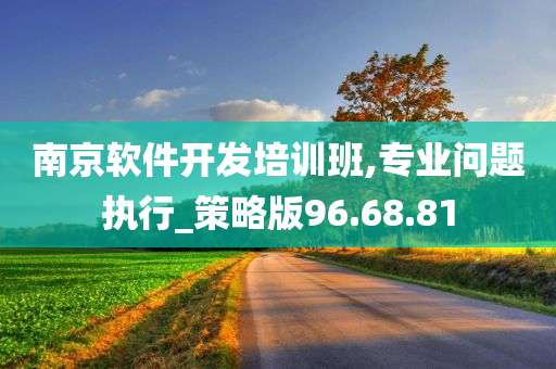 南京软件开发培训班,专业问题执行_策略版96.68.81