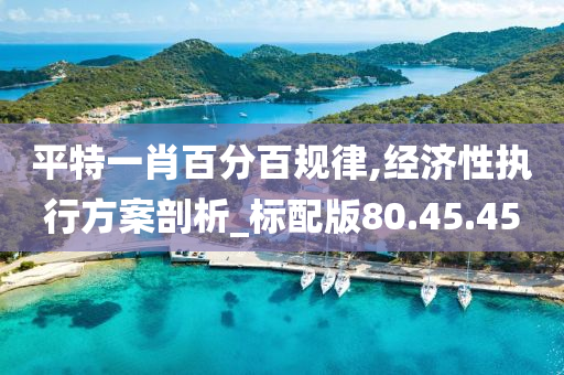 平特一肖百分百规律,经济性执行方案剖析_标配版80.45.45