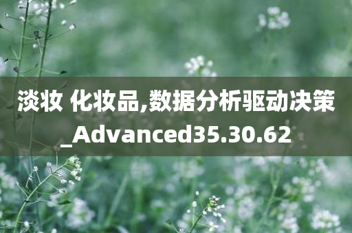 淡妆 化妆品,数据分析驱动决策_Advanced35.30.62