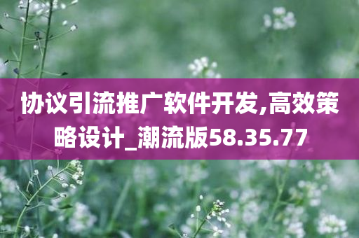 协议引流推广软件开发,高效策略设计_潮流版58.35.77