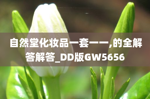 自然堂化妆品一套一一,的全解答解答_DD版GW5656