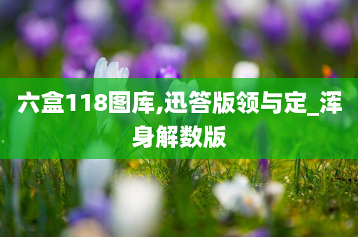 六盒118图库,迅答版领与定_浑身解数版