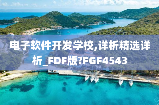 电子软件开发学校,详析精选详析_FDF版?FGF4543