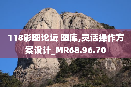 118彩图论坛 图库,灵活操作方案设计_MR68.96.70