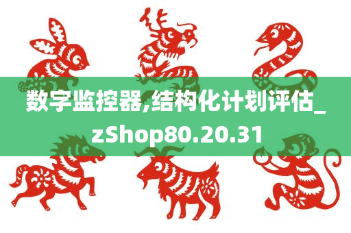 数字监控器,结构化计划评估_zShop80.20.31