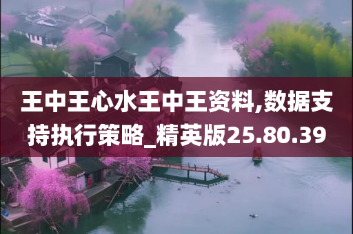 王中王心水王中王资料,数据支持执行策略_精英版25.80.39