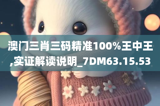 澳门三肖三码精准100%王中王,实证解读说明_7DM63.15.53