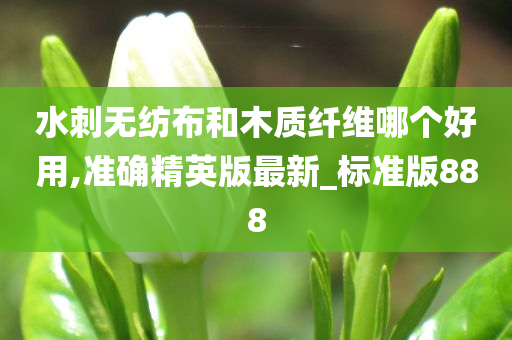 水刺无纺布和木质纤维哪个好用,准确精英版最新_标准版888