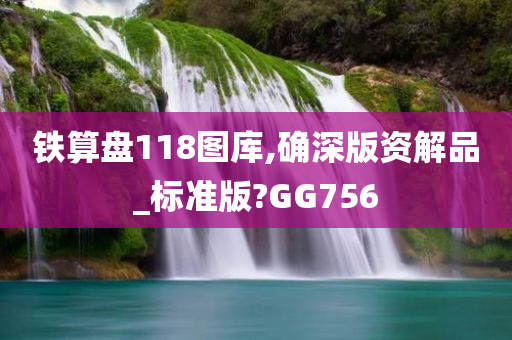 铁算盘118图库,确深版资解品_标准版?GG756