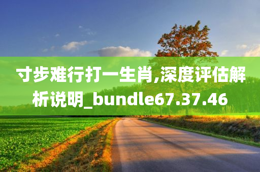 寸步难行打一生肖,深度评估解析说明_bundle67.37.46