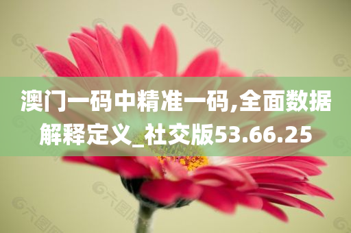 澳门一码中精准一码,全面数据解释定义_社交版53.66.25