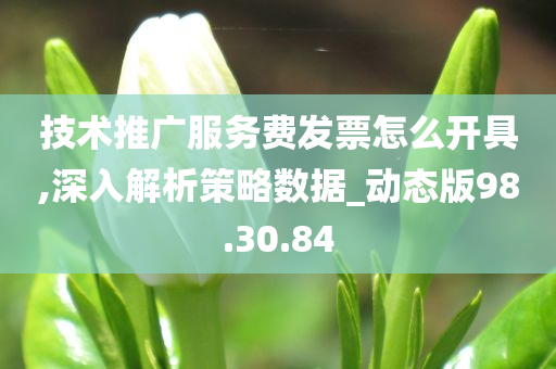 技术推广服务费发票怎么开具,深入解析策略数据_动态版98.30.84