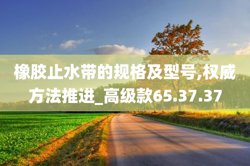 橡胶止水带的规格及型号,权威方法推进_高级款65.37.37