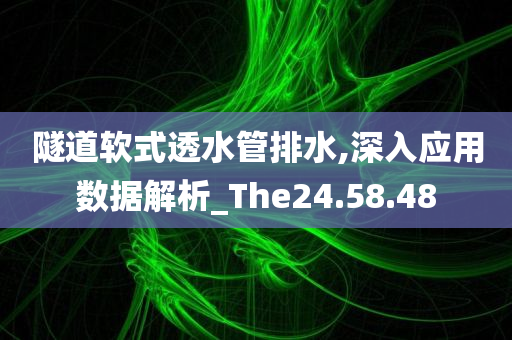 隧道软式透水管排水,深入应用数据解析_The24.58.48