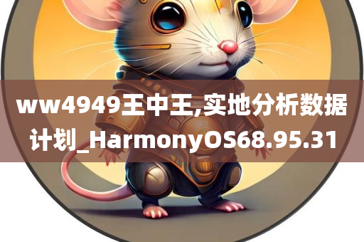 ww4949王中王,实地分析数据计划_HarmonyOS68.95.31