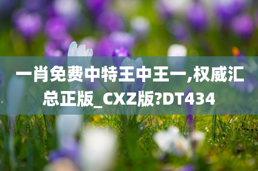 一肖免费中特王中王一,权威汇总正版_CXZ版?DT434