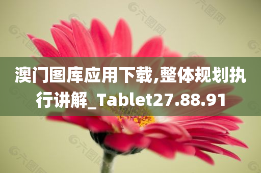 澳门图库应用下载,整体规划执行讲解_Tablet27.88.91